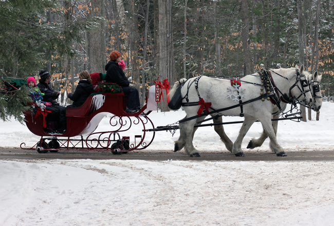 Sleigh Rides are an awesome treat for winter fun in Traverse City Michigan