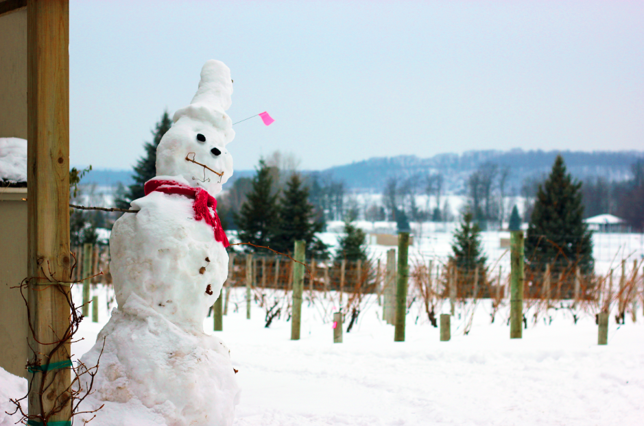 Visiting Traverse City Michigan in Winter- Stop by the many wineries. (This is Bowers Haror Vineyards, we loved it!)