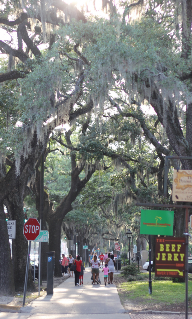 Savannah- a beautiful and fun place for girlfriends and families to visit. One of my favorite places!