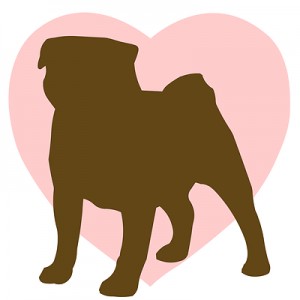 Help Pugs Who Need Vet Care- Share or Donate!