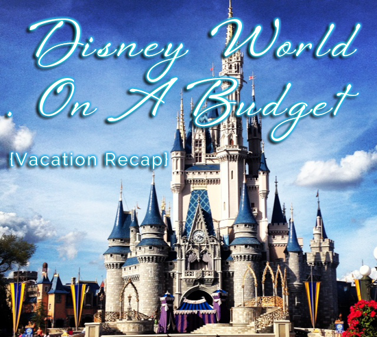 Disney World On A Budget