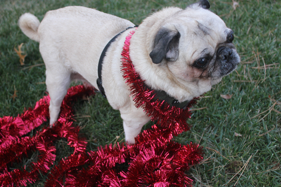 Ralph And The Tinsel