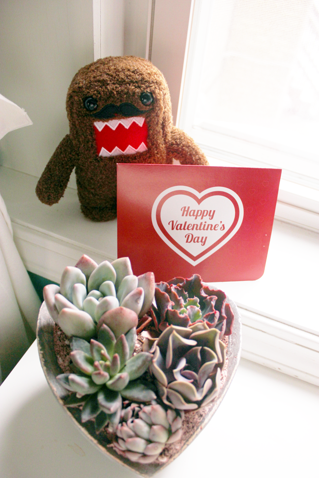 Domo and Proflowers Flower Delivery