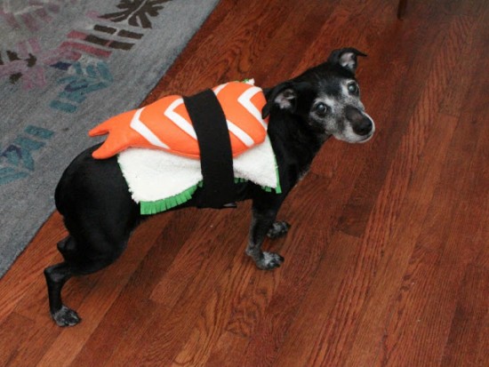 Ten Dangerously Adorable DIY Dog Costumes